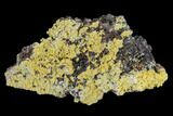 Mimetite Crystal Clusters on Limonitic Matrix - Mexico #119120-1